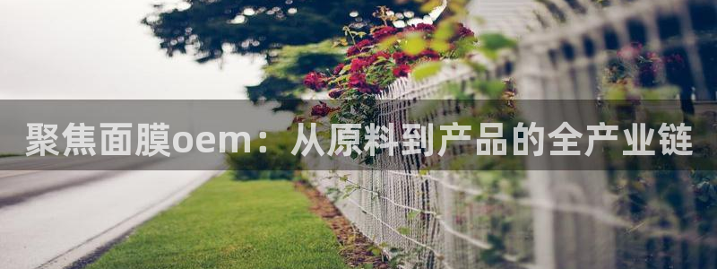 彩名堂5.0计划