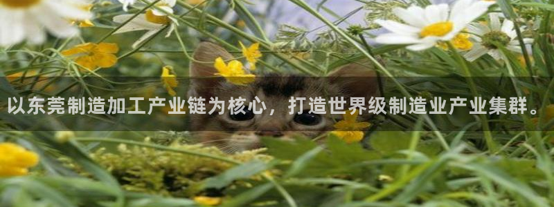 彩名堂移动客户端是什么