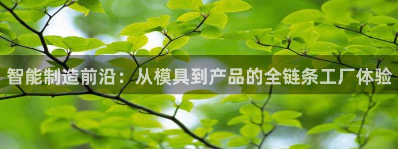 彩名堂怎么选稳定计划产品