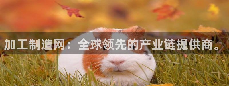 彩名堂彩