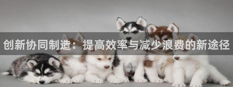 彩名堂为什么用不了了