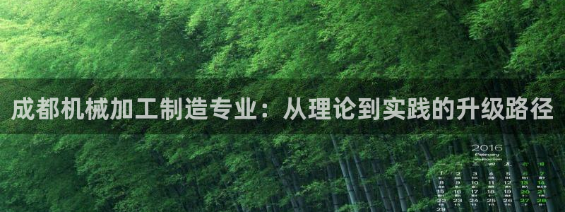 彩名堂计划技巧有哪些