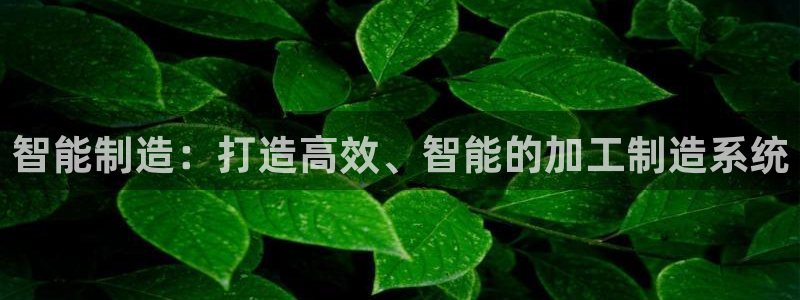 彩名堂