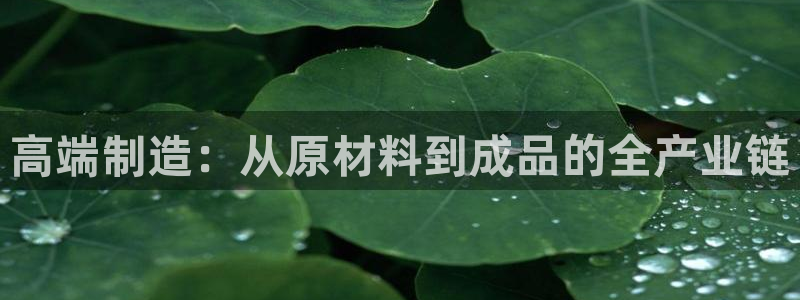 正规彩名堂官网计划01