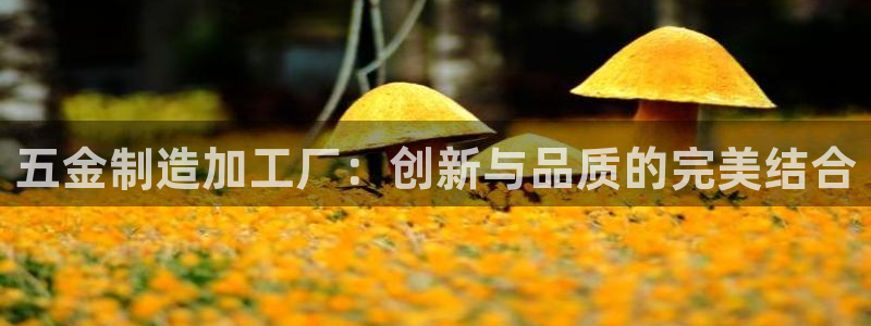 下载苹果手机版彩名堂