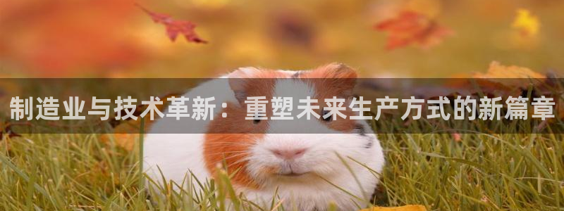彩名堂免费计划官网5.0版下载链接