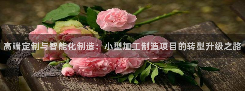 彩名堂改名稻草人了吗