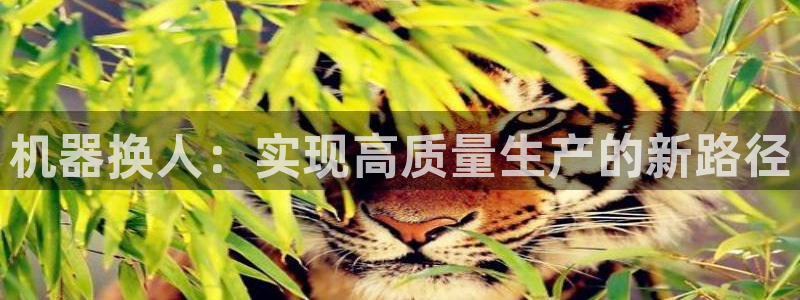 彩名堂计划最新版手机版
