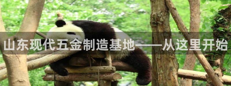 彩名堂怎么选稳定计划