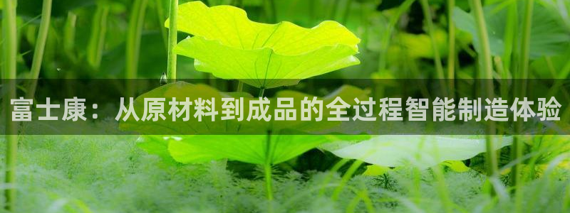 彩名堂客服电话号码