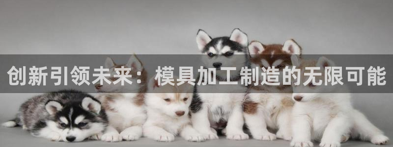 彩名堂免费计划5.0使用方法