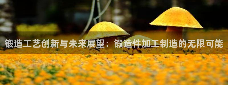 彩名堂官网在线计划