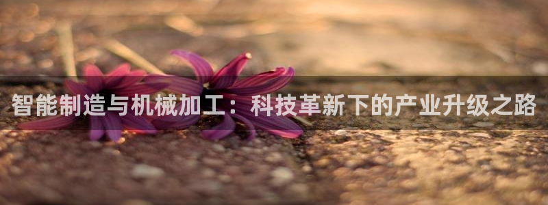 最新彩名堂计划