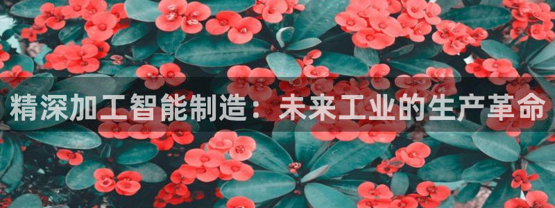 彩名堂免费计划亮点