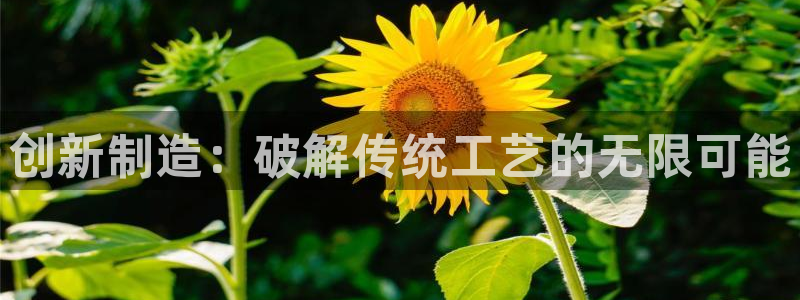 彩名堂改名稻草人了吗知乎