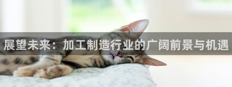 彩名堂还可以用吗