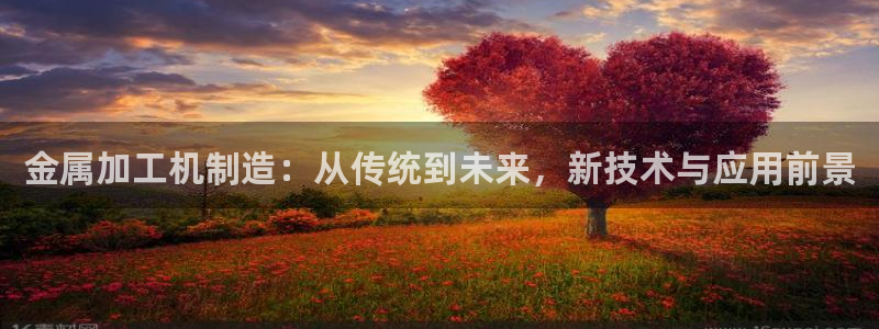 彩名堂开奖结果查询