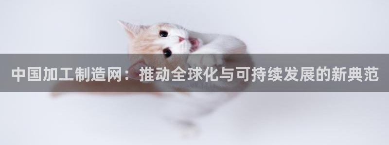 彩名堂官网客户端