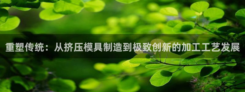 彩名堂人工计划怎么找不到下载了?