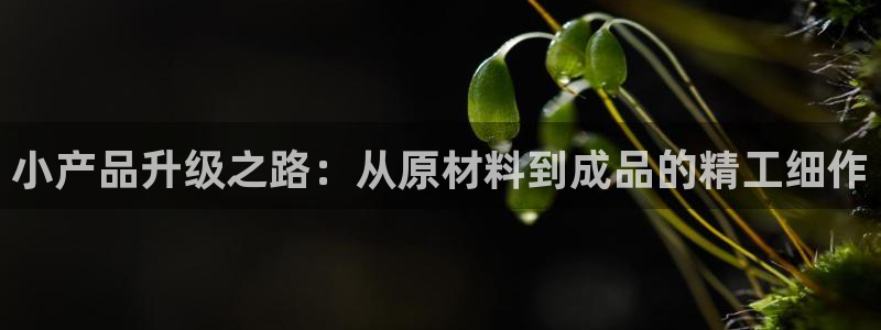 彩名堂免费计划使用方法是什么