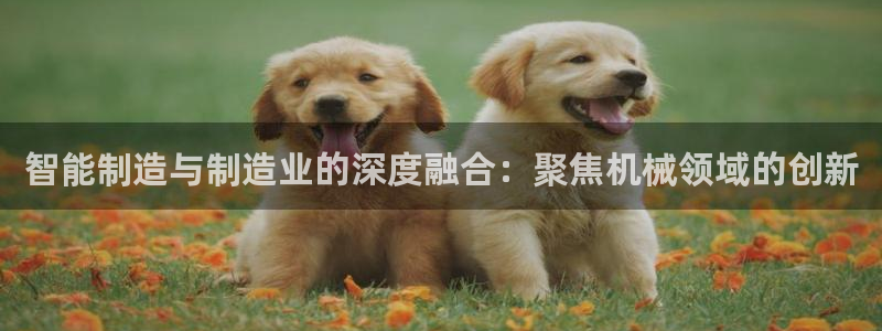 彩名堂计划怎么跟,为什么我一跟就挂