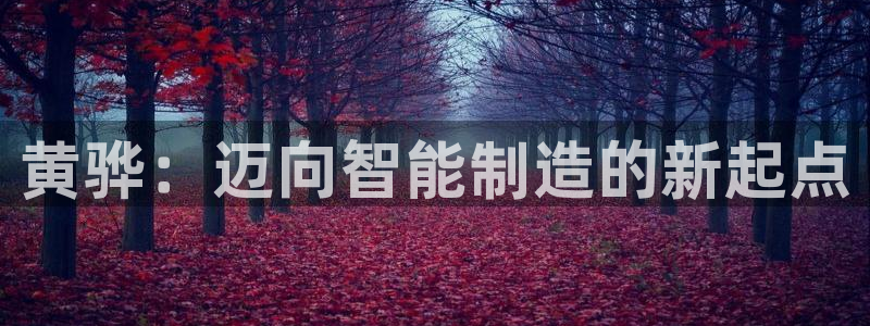 彩名堂好用还是千里马好用一点