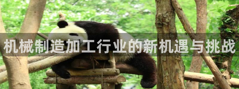 彩名堂移动客户端