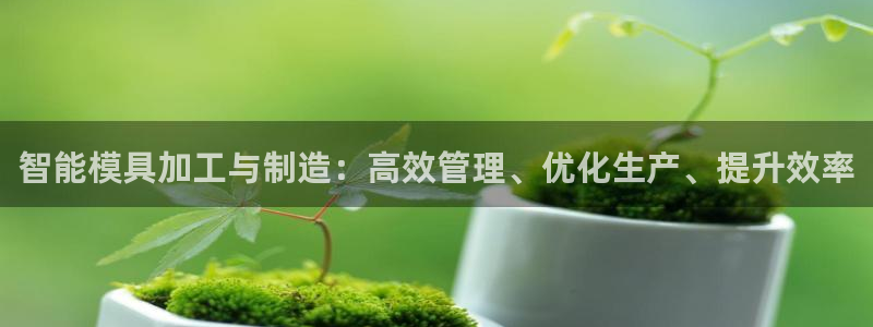 彩名堂免费计划官网老版本