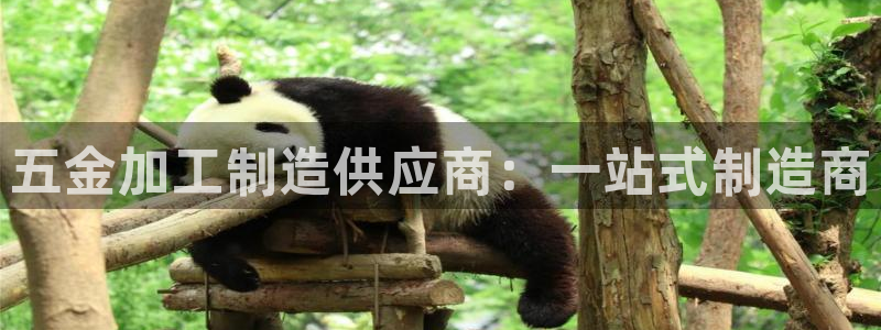 彩名堂客户端官网