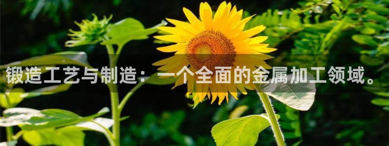 彩名堂在线下载