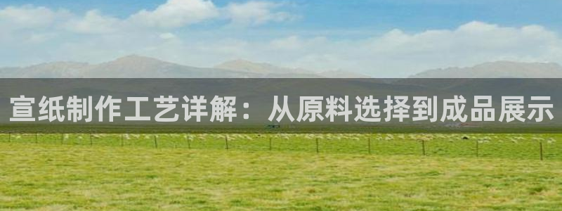 彩名堂官方平台