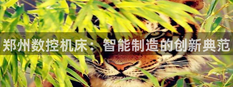 彩名堂好用还是千里马好用