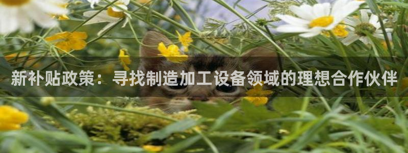 彩名堂计划怎么买胜率高