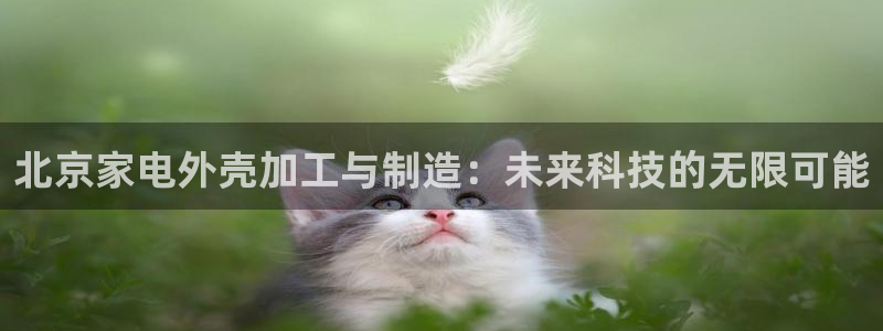 彩名堂怎么不能用了