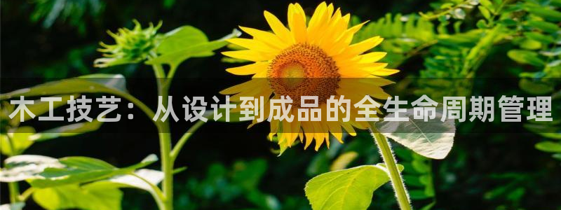 彩名堂手机客户端