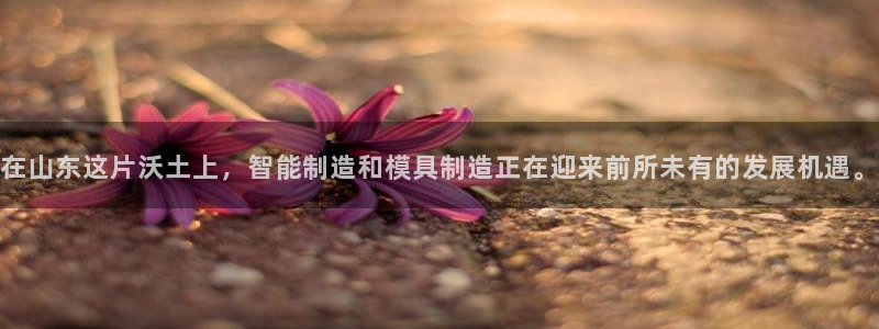 彩名堂免费计划客户端官网