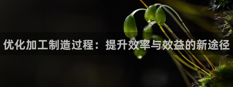 彩名堂和01计划哪个好