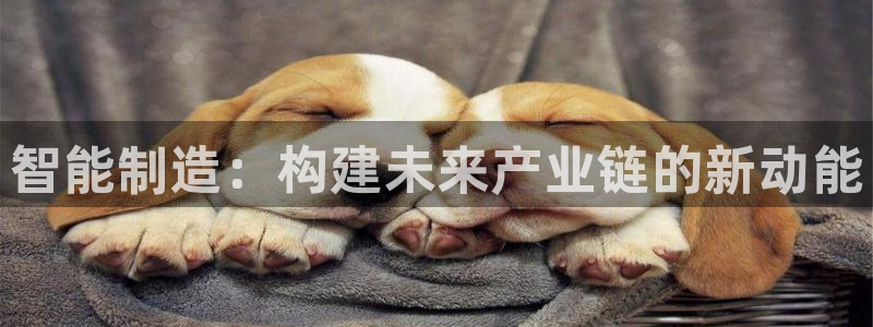 彩名堂全天计划