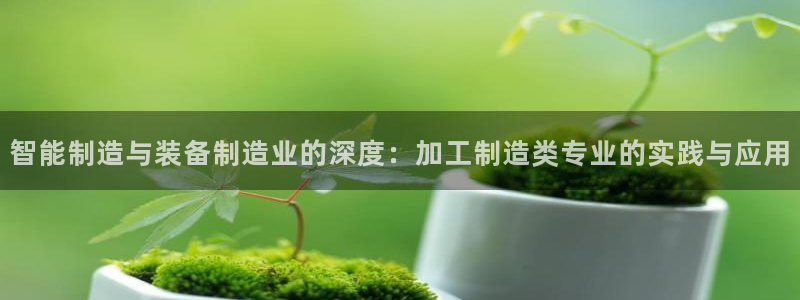 彩名堂是正规的公司吗