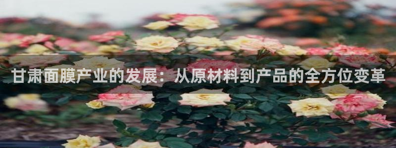 彩名堂怎么打不开了